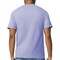 Gildan Softstyle Adult T-Shirt, Ring-Spun Cotton Tee with Smooth Print Surface